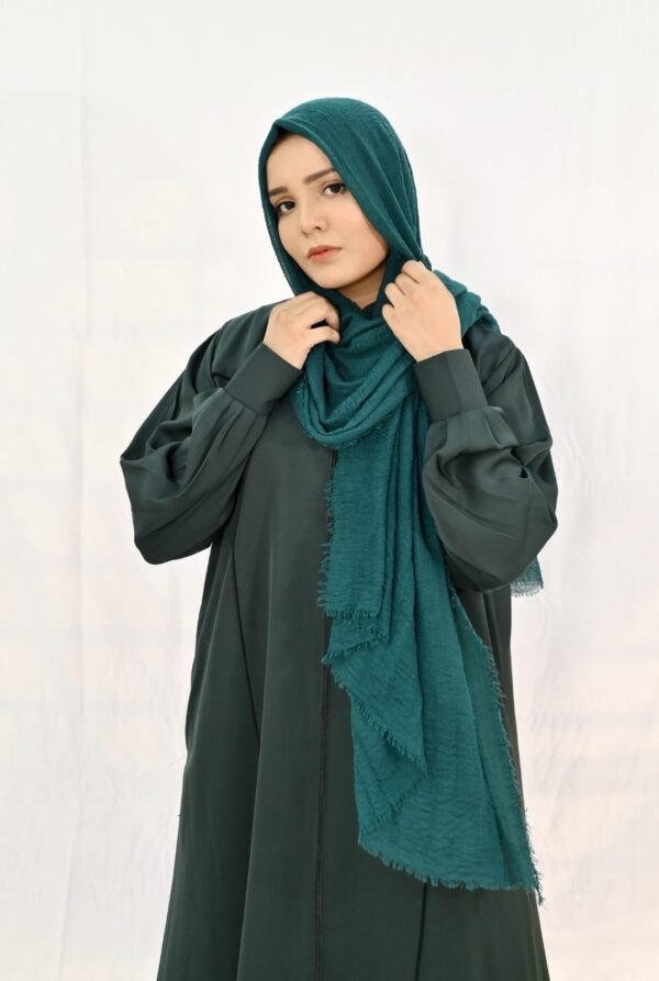 Plain Pakistani Abaya 6